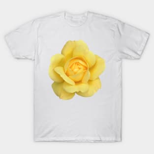 The Yellow Rose T-Shirt